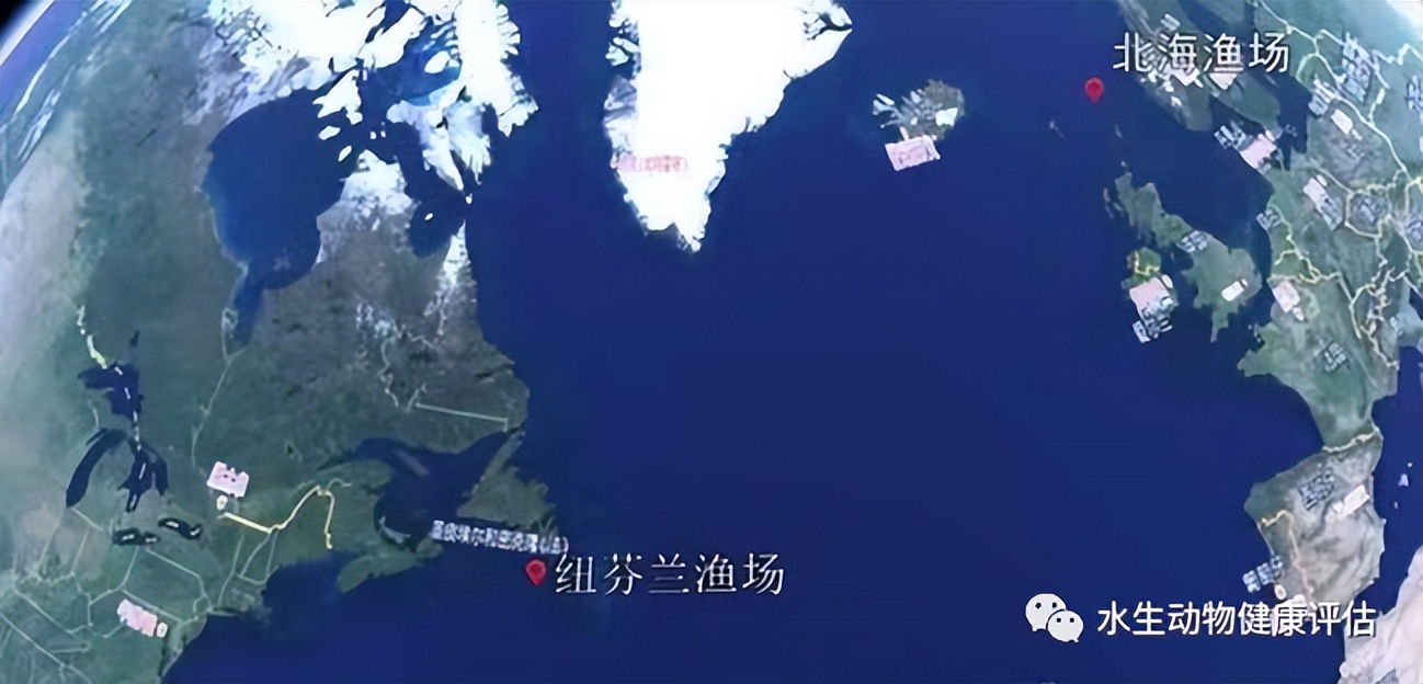 北海道渔场（北海道渔场盛产的鱼类）-第4张图片-昕阳网