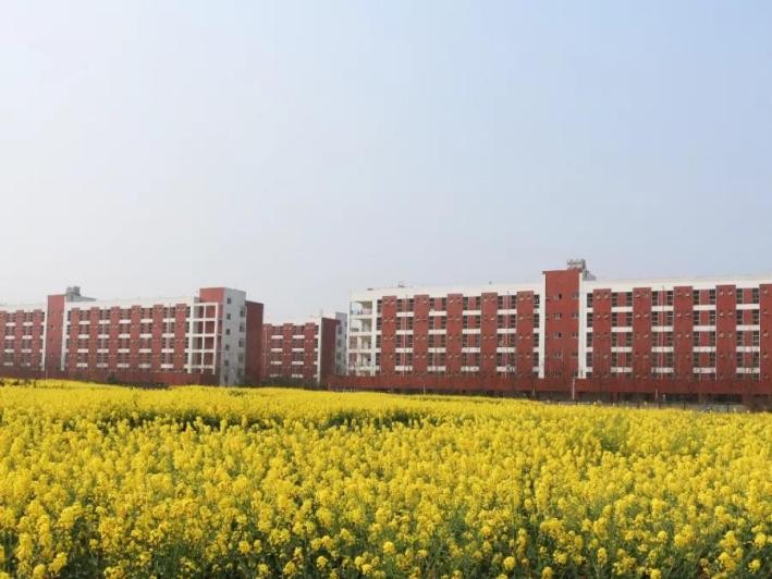 成都这所高校“火了”！食宿配置豪华，拥有绝美风光，学生幸福感爆棚！