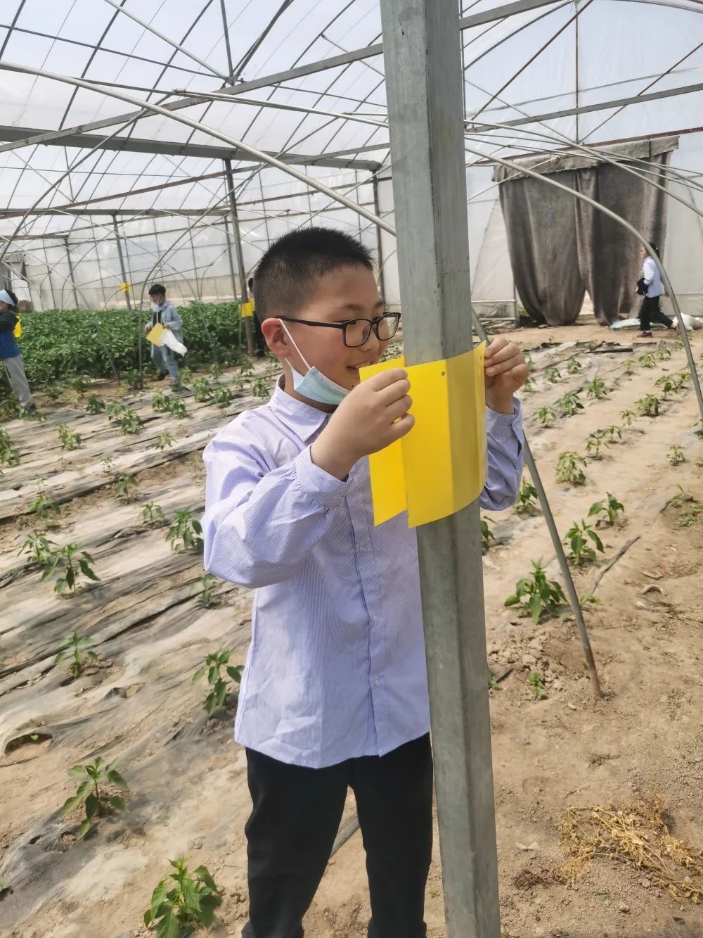 泗陽縣實驗小學:小小農(nóng)夫捉蟲忙(圖8) 泗陽縣實驗小學:小小農(nóng)夫捉蟲忙(圖8)