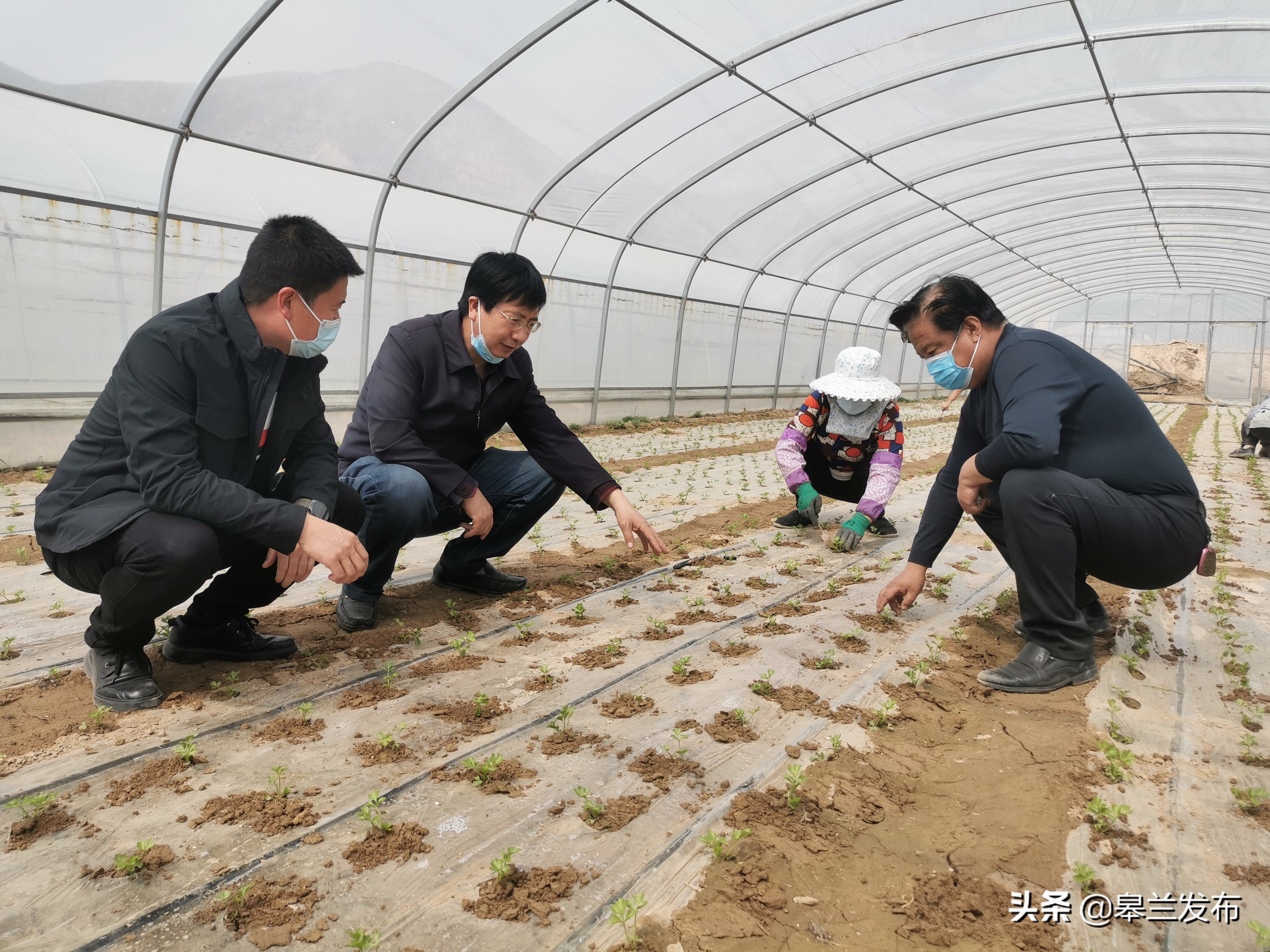 皋兰加强春季田管保障农业生产