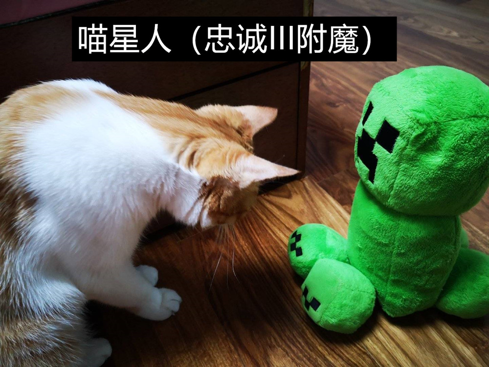 我的世界：若给“末地烛”加上一种附魔！耐久、力量、还是冲击？