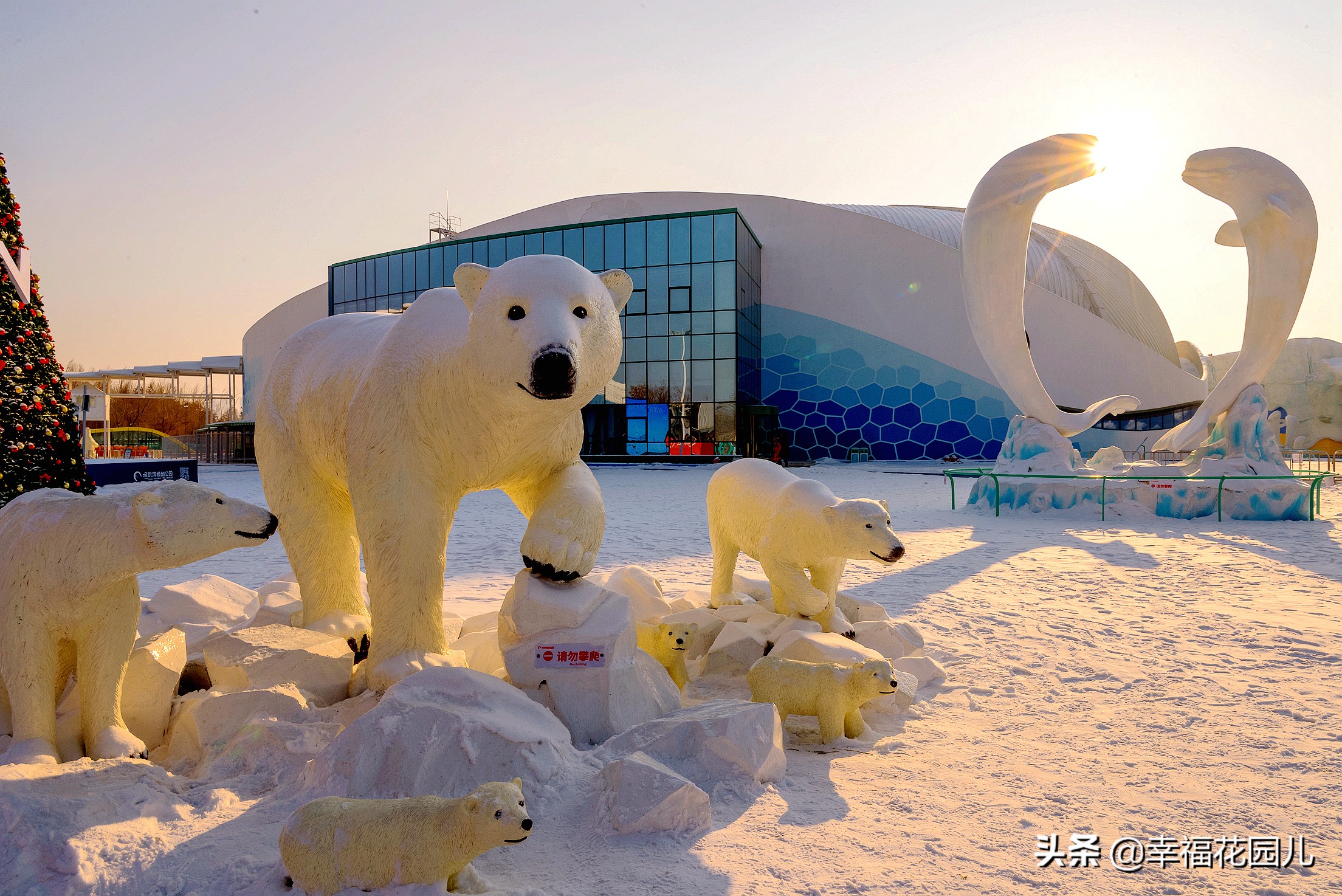 赏冰、玩雪、看美景，找回儿时过年的味道，就在非常冰雪黑龙江