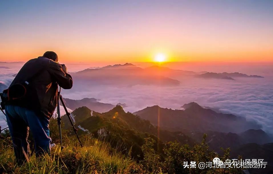 想了一百个关于春天的文案，都不及你的盛世美颜直白