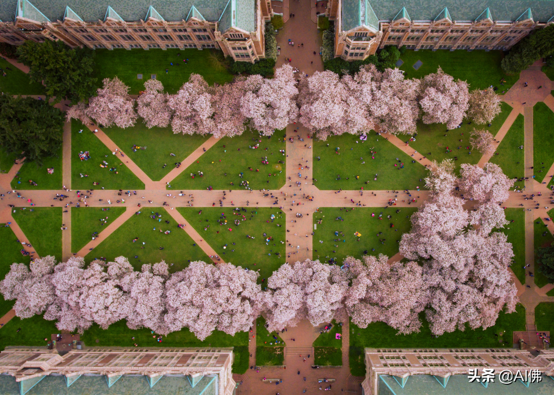 2022美国每个州最好的大学