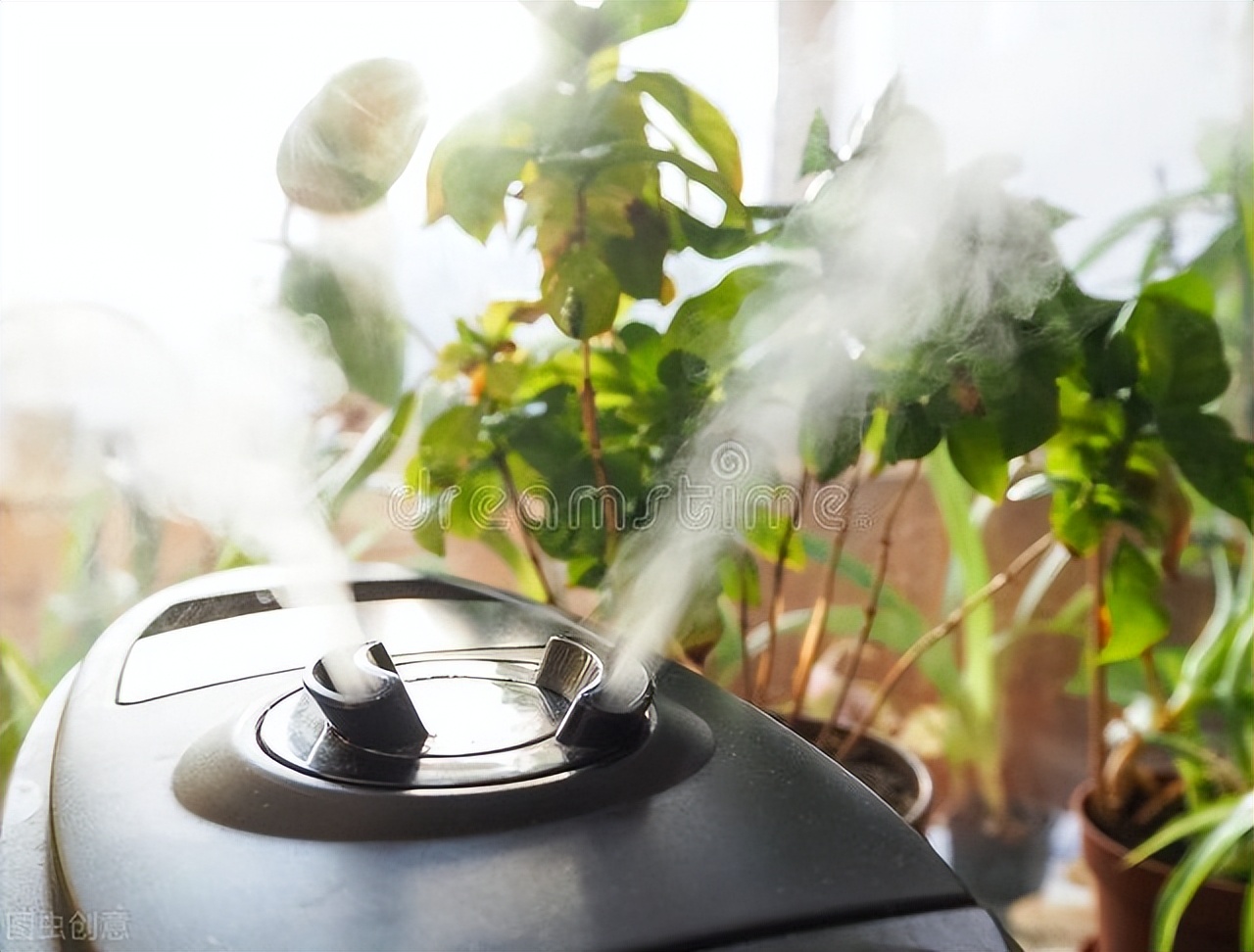 家里6种“污垢”比地板还脏，你可能每天要吃进肚子里好几遍