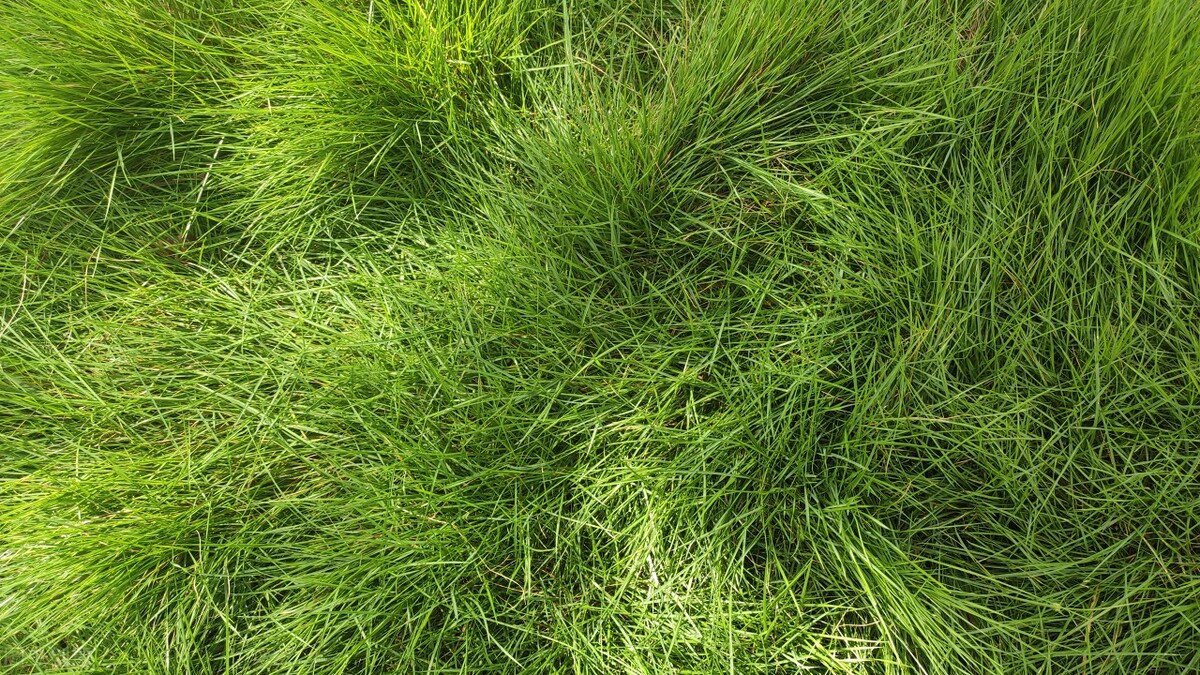 深情催泪情感美文：曾经的爱恋，曾经的悲欢