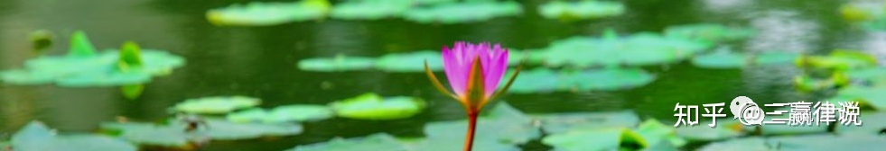 借520说说法律中的赠与认定