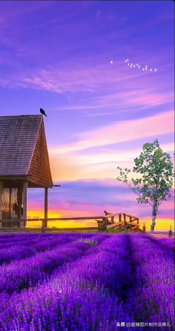 壁纸美图,美的风景为您带来愉快的心情