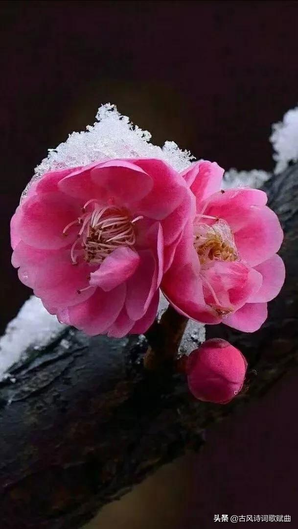 100句唯美而又温暖人心的句子，简短文艺，直抵心灵