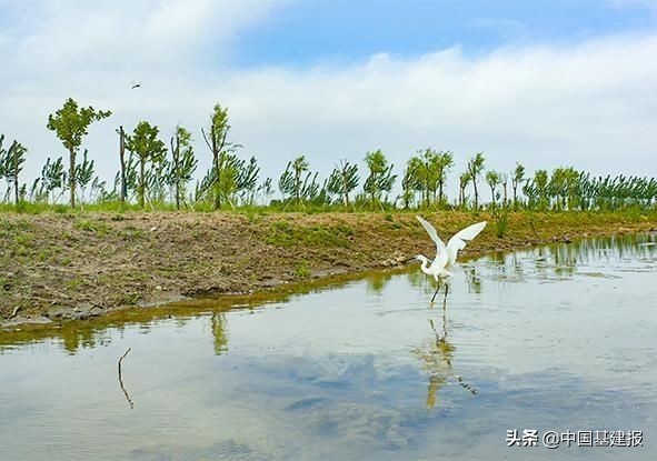 雄安府河河道治理项目荣获河北省建设工程质量最高奖