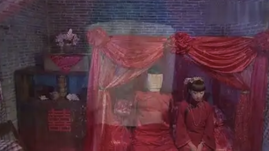 被禁掉的恐怖片（真實到停播，央視高分“鬼片”，全網沒人敢禁）