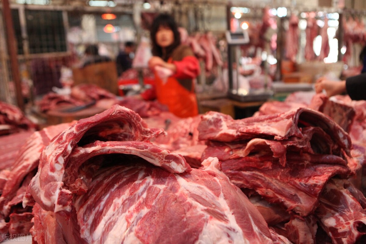 生猪价格下跌的背后，体现的更多是人性，11月9日全国最新猪价