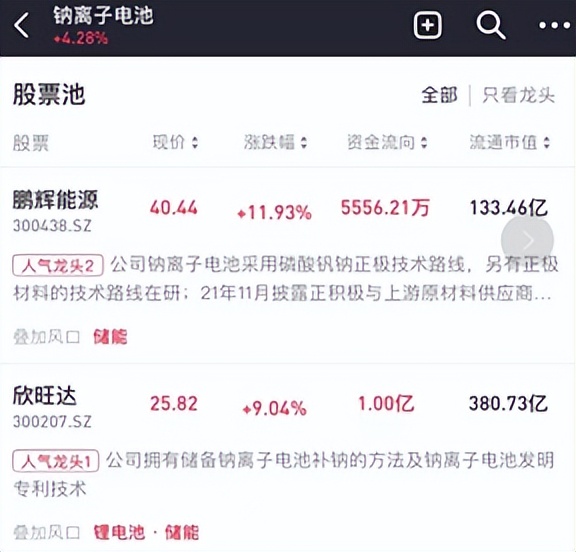 储能概念，叠加钠离子电池，双风口能飞多久？