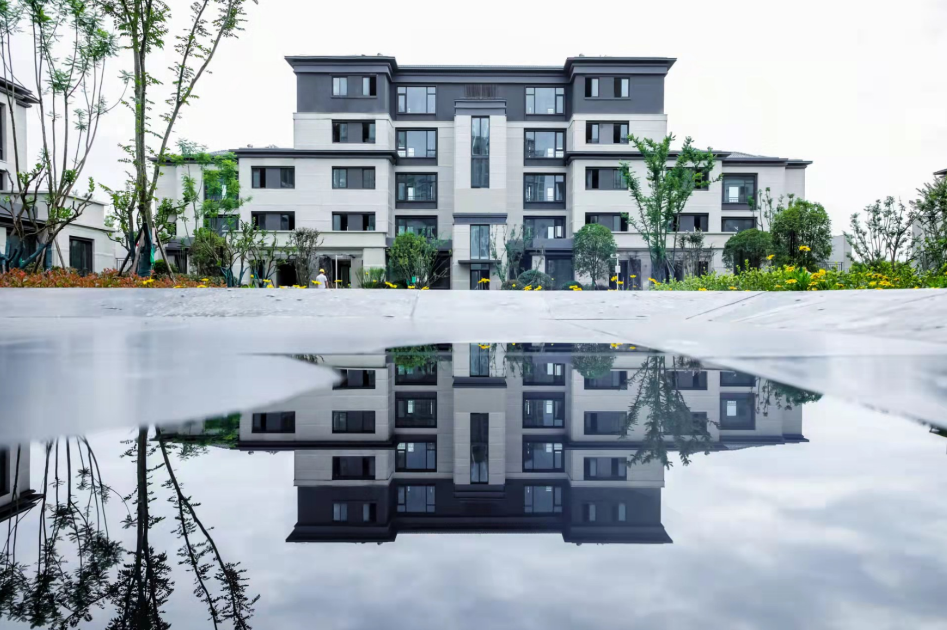 成都人才工作巡礼 | 市住建局：栽下梧桐树 引来“金凤凰”人才安居助力“蓉漂”幸福美好生活