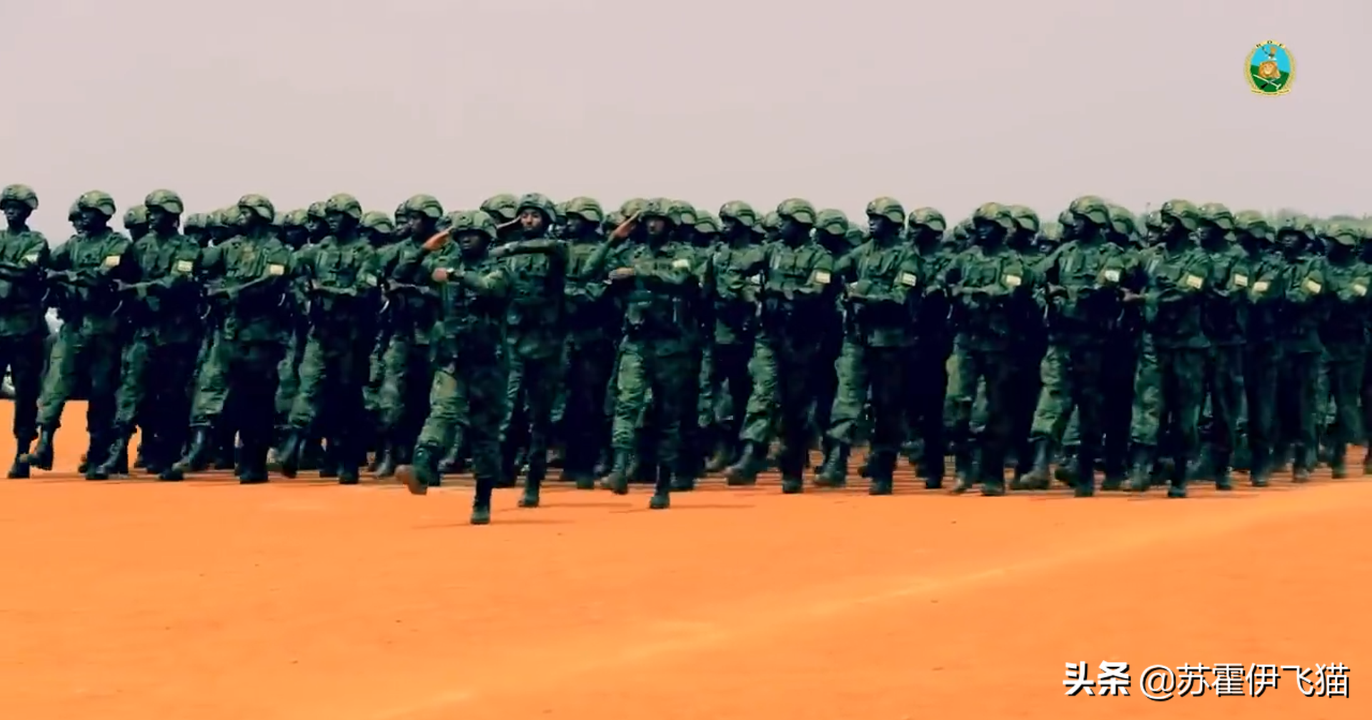 ¬�����ʦ�ˣ�������ѵ��������ʶ������ǹ������������ѧ����