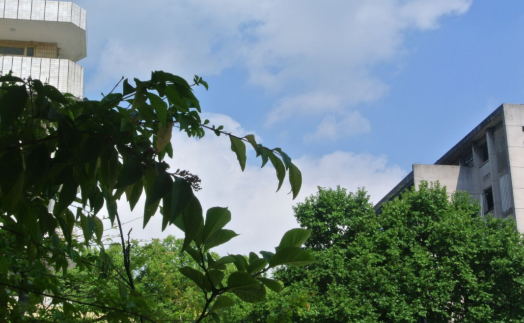 适合一本压线考生报考的10所大学，容易被录取，性价比高