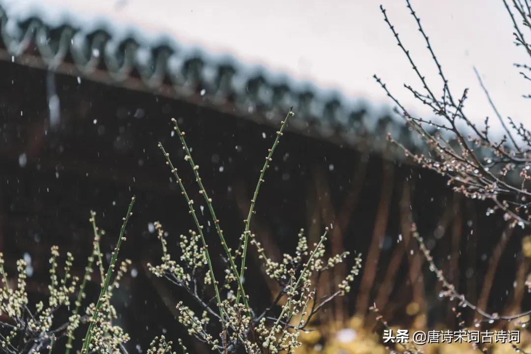 古诗词里的冬雨