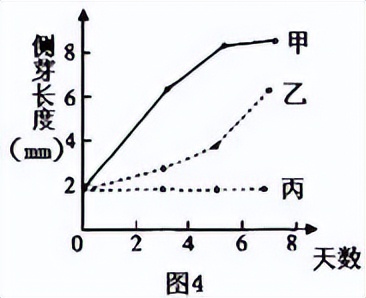 青鲜素相当于什么植物激素（青鲜素相当于什么植物激素类）-第18张图片-昕阳网