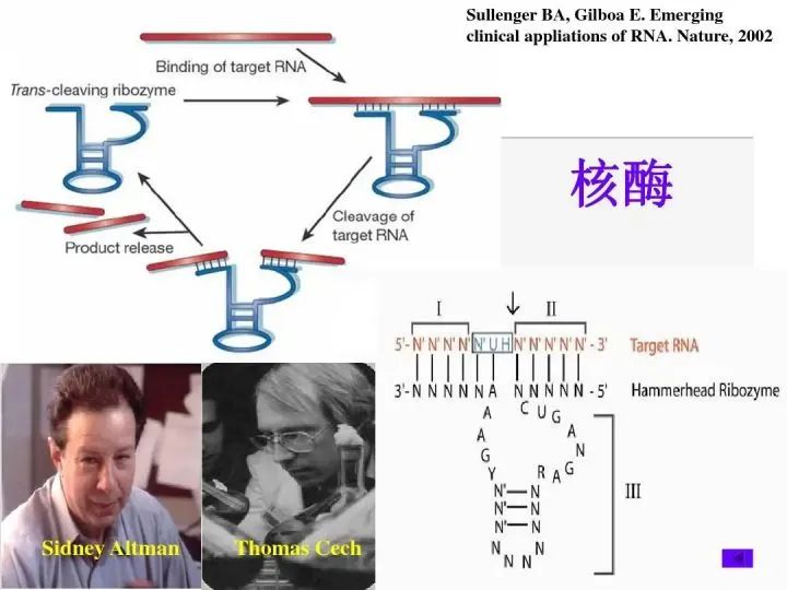 地球外首次确认氨基酸存在，地外生命说是真的吗？