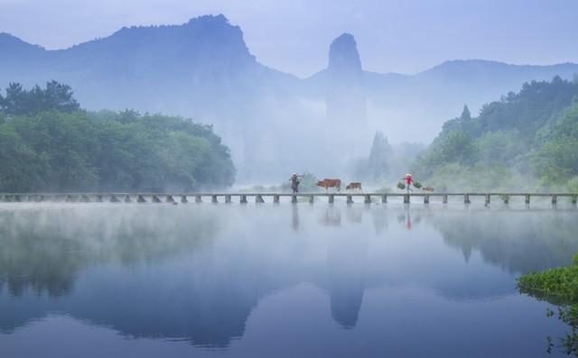 我都明白可眼泪还往下掉（我都明白可眼泪还往下掉下一句）-第4张图片-科灵网