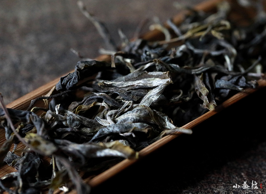 隱秘的美好茶滋味，就藏在無人過問的荒山里