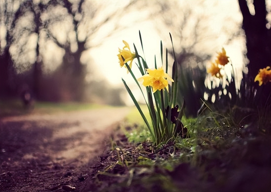 发朋友圈经典的情感语录文案