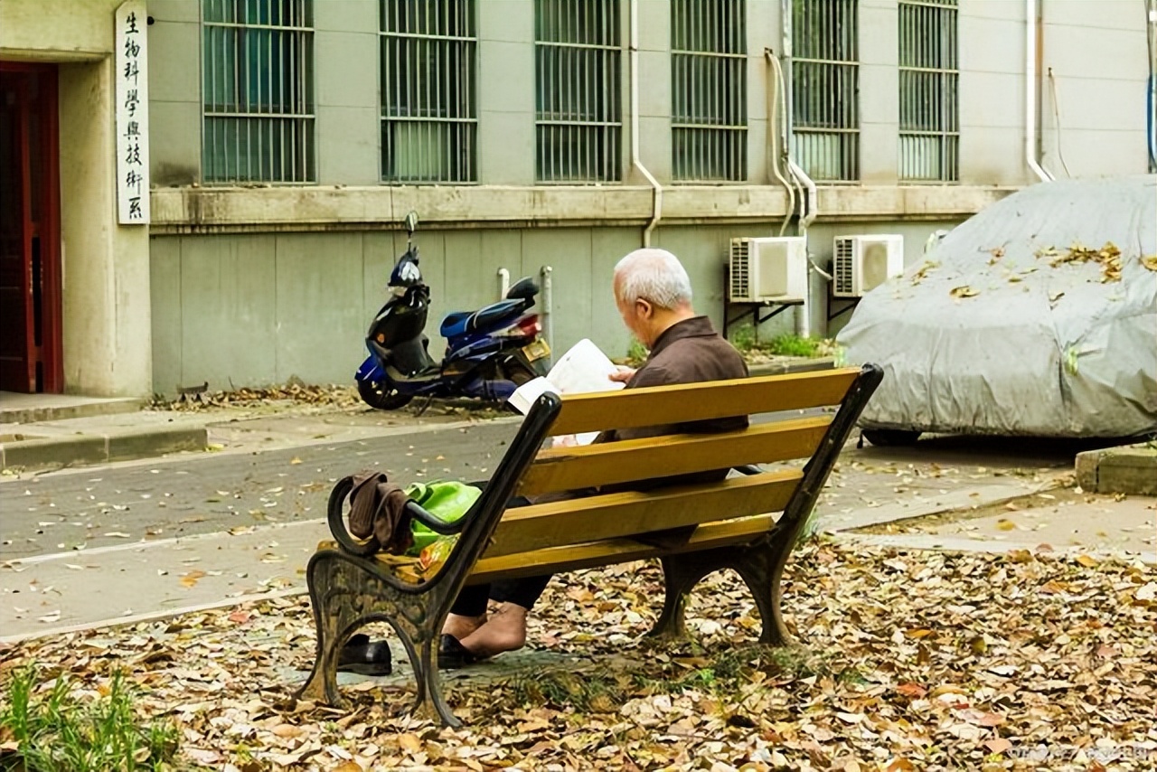 2022中国大学排行榜出炉，“四大天王”不稳，南京大学冲进前5