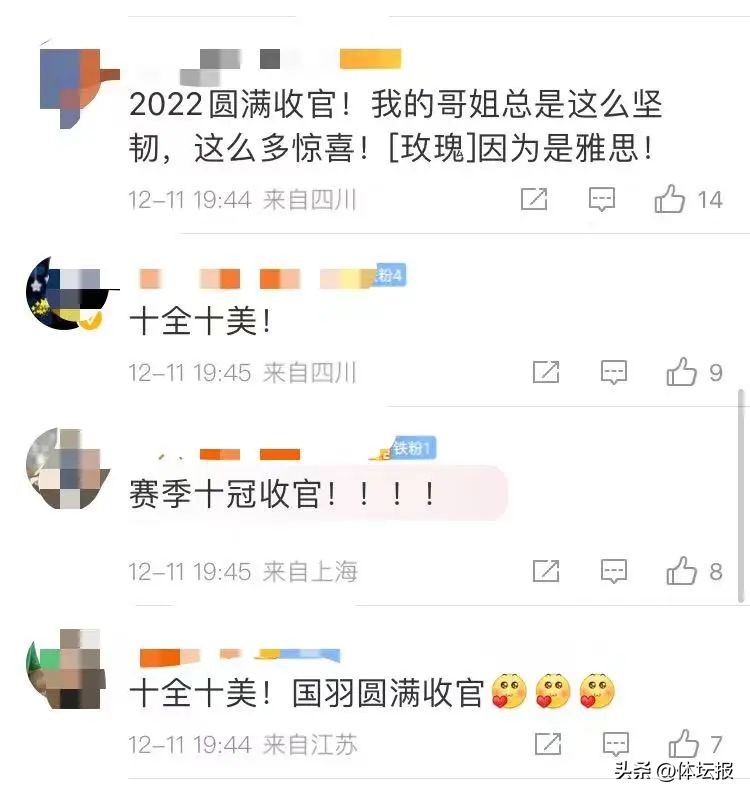 羽毛球世界锦标赛冠军（世界羽联年终总决赛夺冠，雅思组合收获&quot;十全十美&quot;的2022赛季）