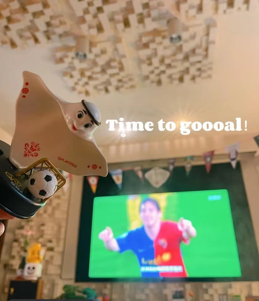 怎么去看世界杯（“伪球迷”如何宅家看世界杯，这份指南赶紧收下）