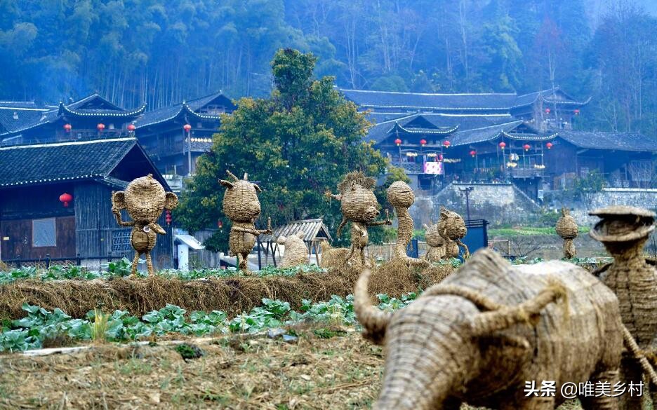 到2025年建设1000家国家级生态农场？五大分区必不可少，这样操盘