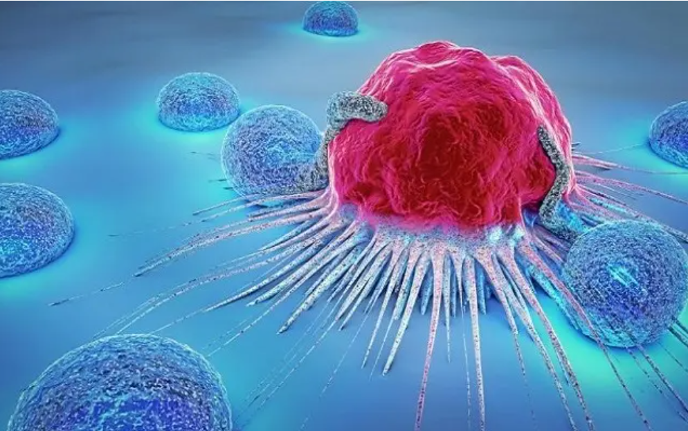 ��Ϊ���˵İ��أ������������17��Ⱦɫ���У��ܷ�򿪻�������