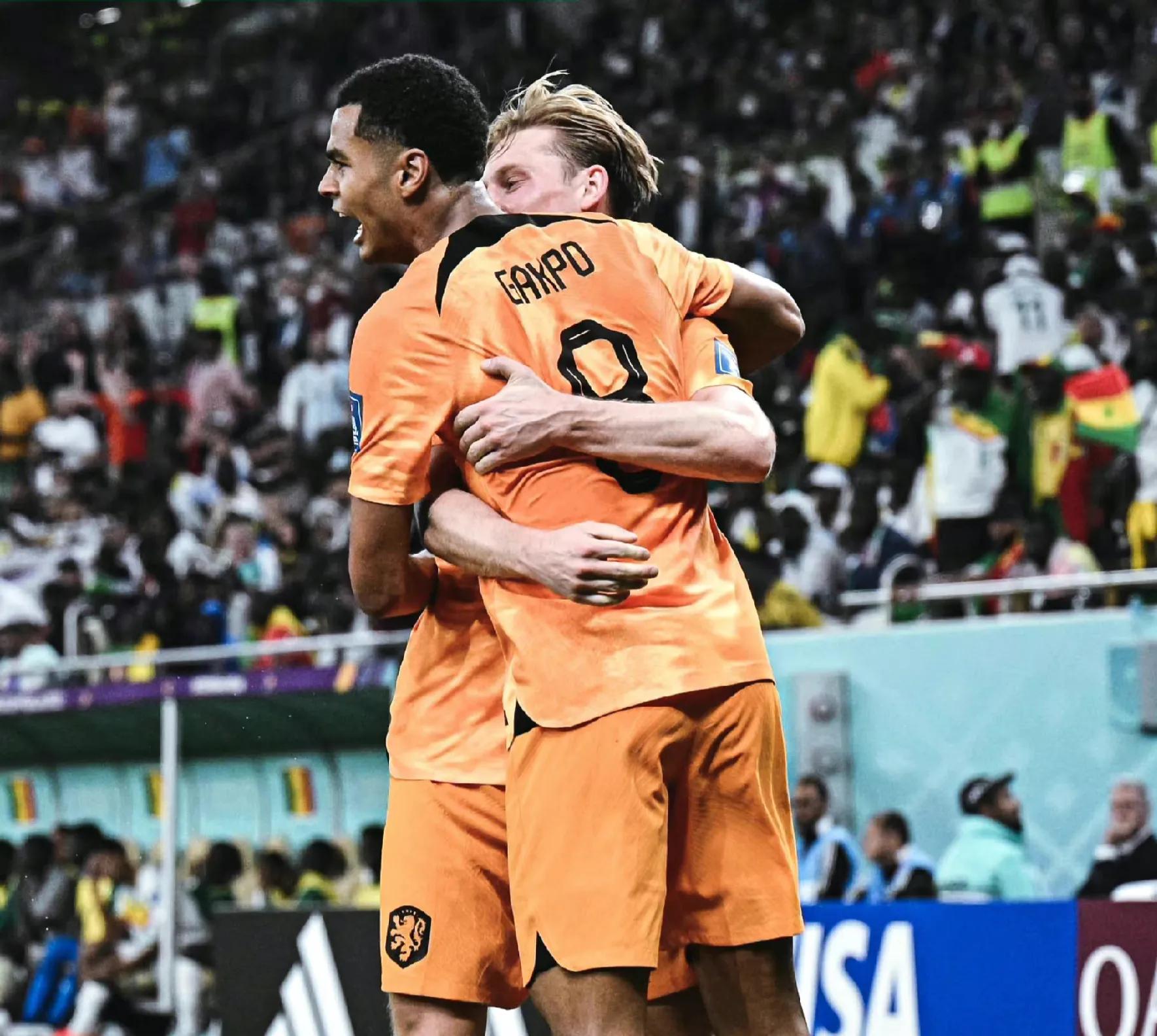 荷兰甲级联赛意大利杯足球赛直播(丑陋的荷兰2-0侥幸战胜非洲冠军塞内加尔，门将互换比分对调)