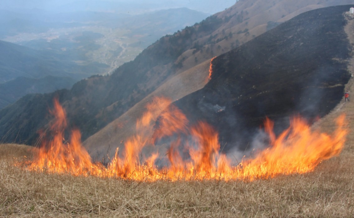 1978年唐山大地震后，传说中的“菜刀队”究竟是什么