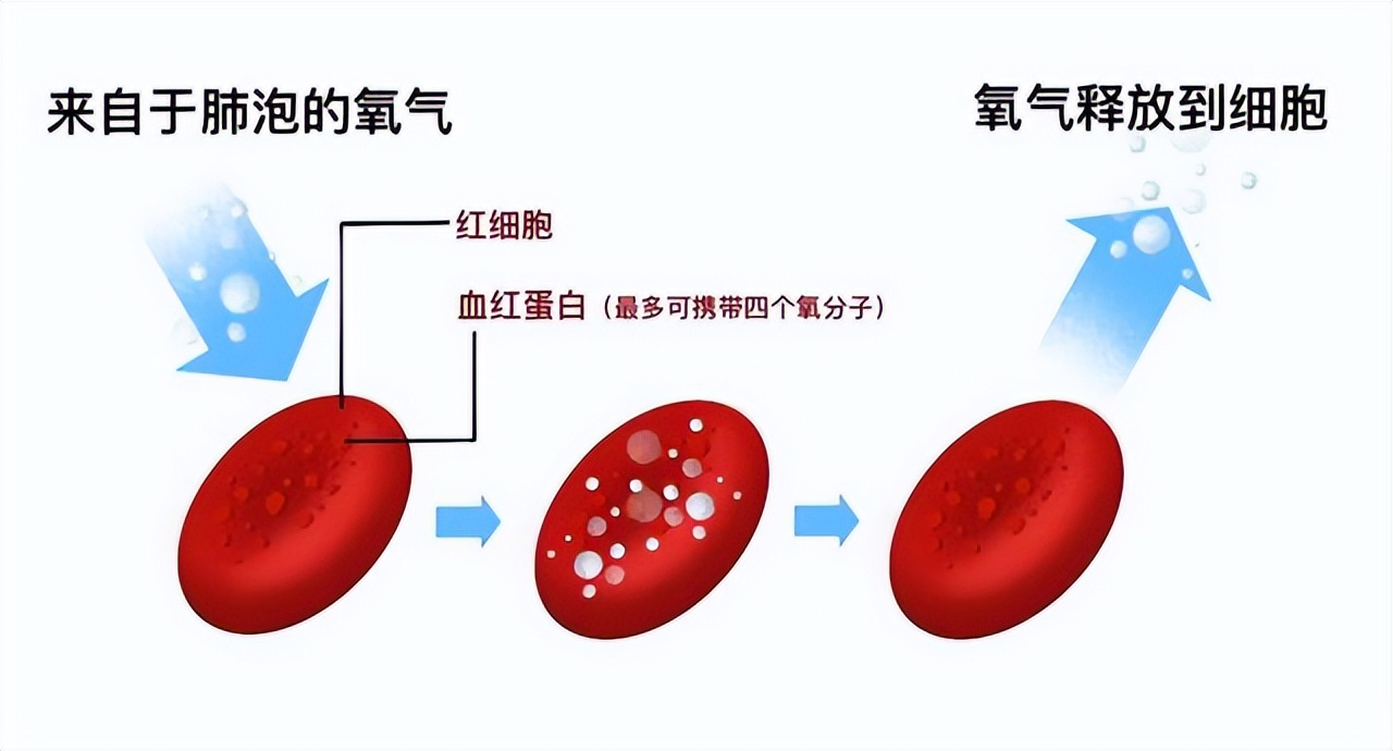 血檢報告該怎么看？