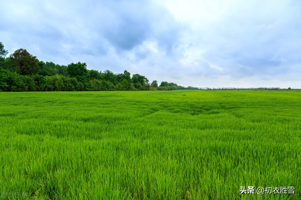 明丽晚春美诗七首：楼外青山似故人，雨余山色静无尘