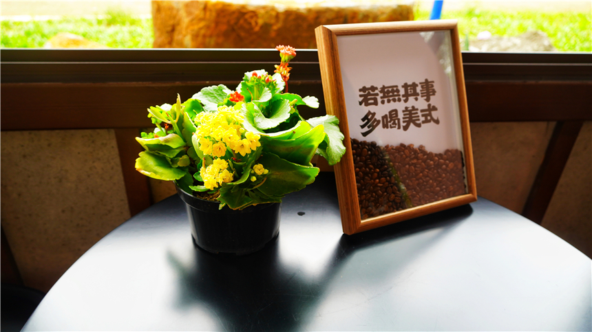 自驾海南，探寻雨林秘境，黎族村落到茶园深处，4天3晚游玩全攻略