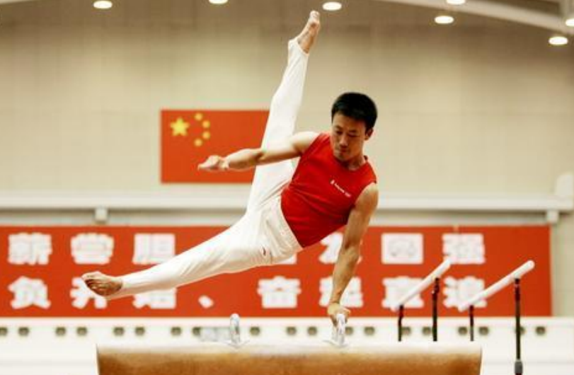 中国所有运动员都是国家队吗(李东华：被国家队开除，为瑞士拿奥运金牌，因为3个贡献被夸爱国)