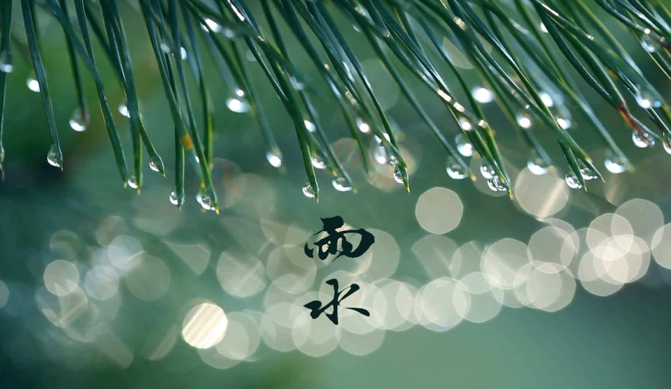 雨水 | 及时雨，窗外听，十首春雨的诗词，一朝春雨，润物无声