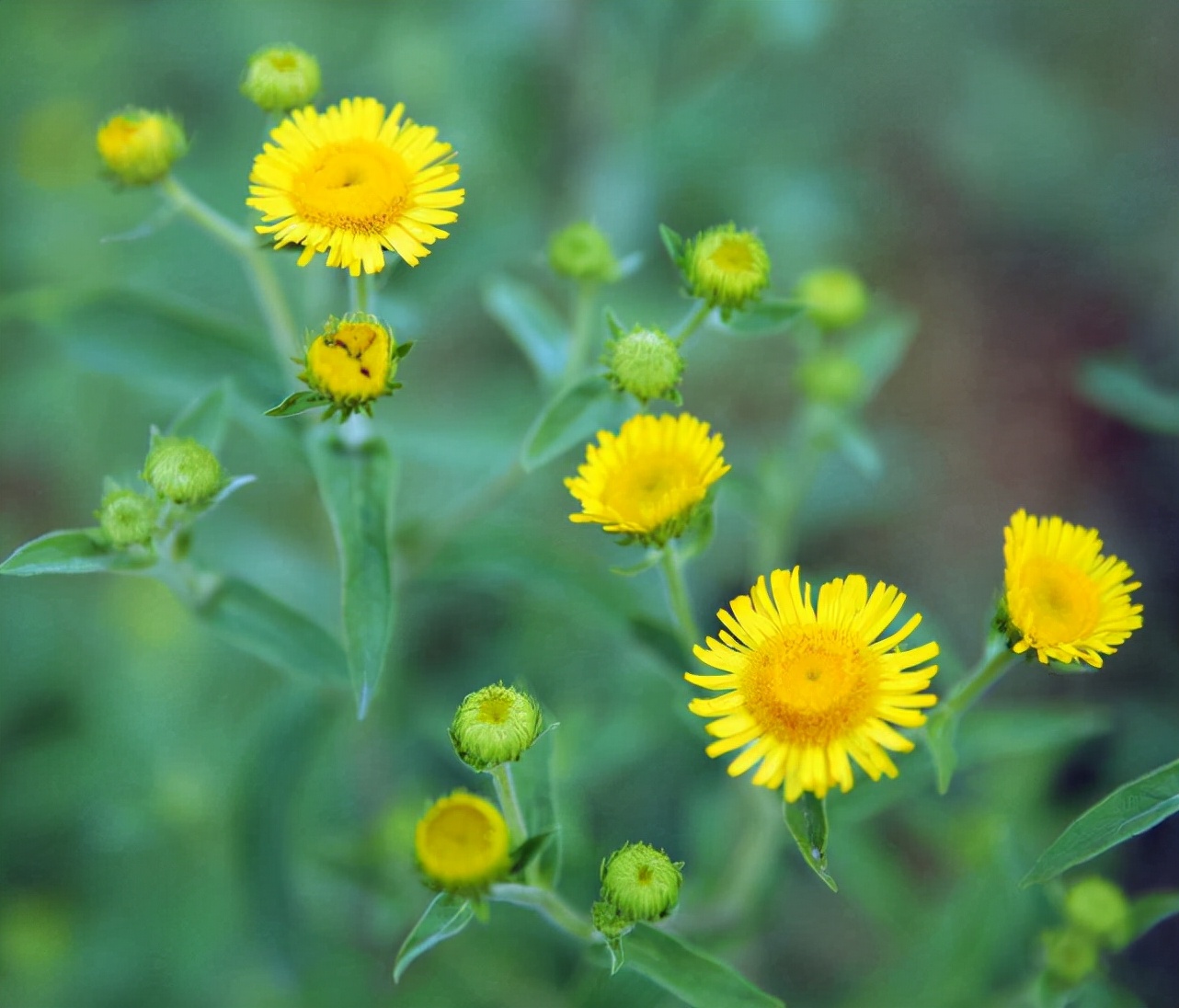 北京宋庄画家村有了疫情送一首充满阳光的诗歌