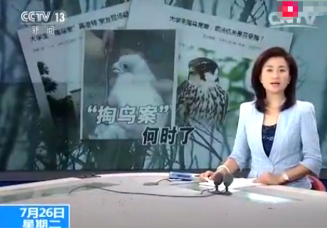 2014年，河南大学生抓16只鸟被判10年，其父喊冤：他只是个孩子