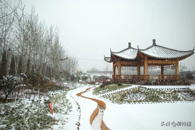 提升雪景照片的“高级”感，5个摄影技巧，让照片更有意境