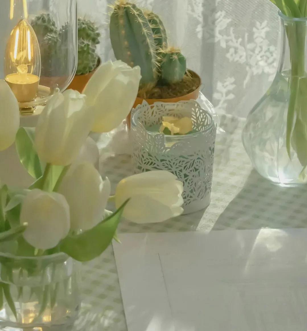 学生会到底要不要进，看完转给即将上大学的孩子