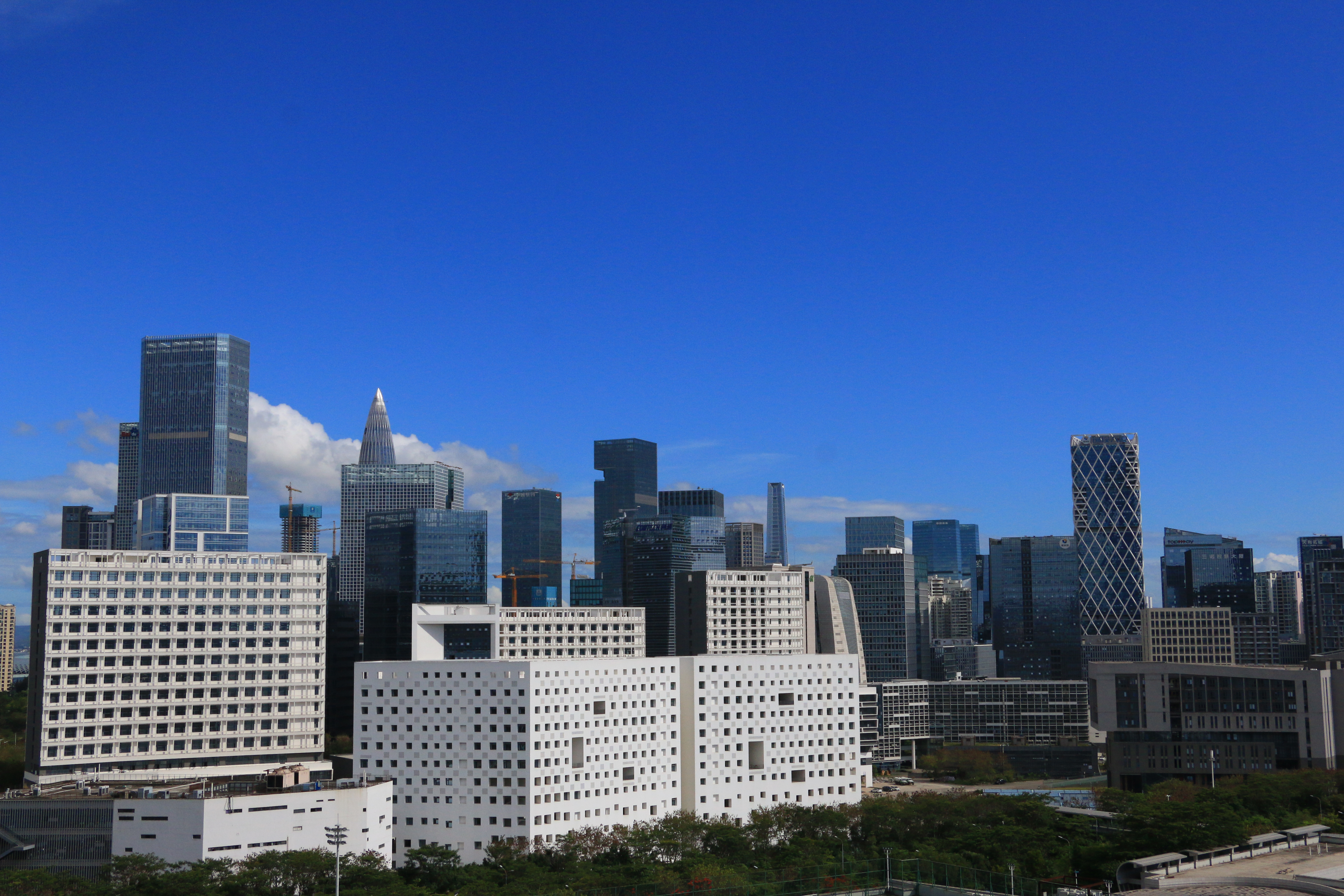 这2所双非大学不简单！超“双一流”大学艺考生录取需要多少分？