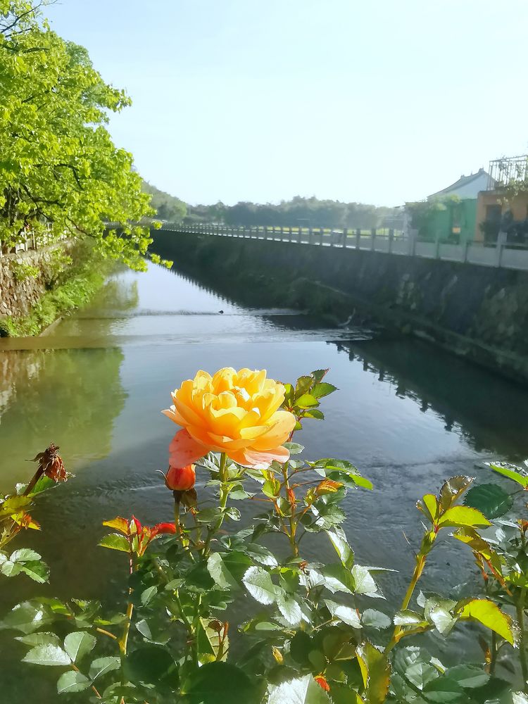 赞我家乡山水美 作者：黄定光