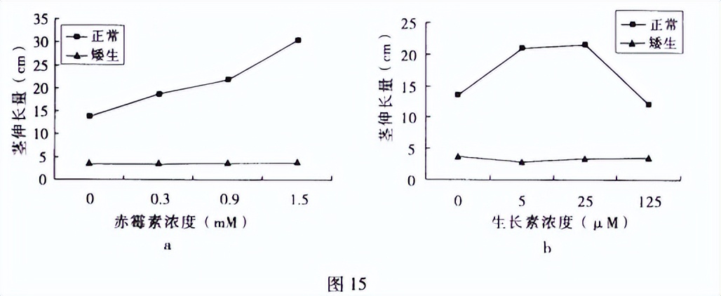 青鲜素相当于什么植物激素（青鲜素相当于什么植物激素类）-第4张图片-昕阳网