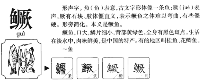 鳜「鳜鱼是海鱼吗」-爱妻自媒体