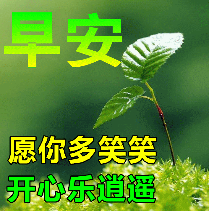 6月7日最新早上好日常祝福语大全，早晨好日常问候语录新版
