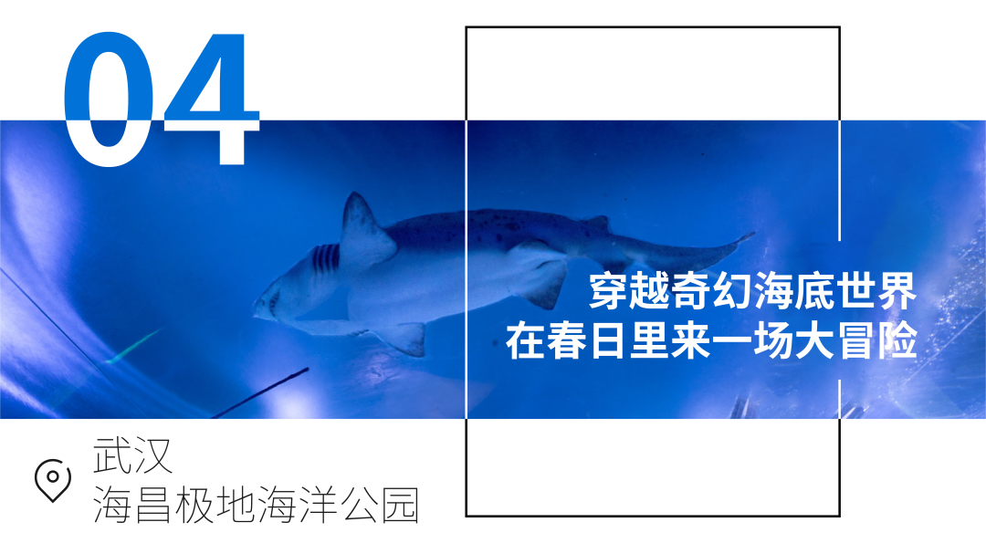 不出武汉！10个小众踏青地，在东西湖玩转春天