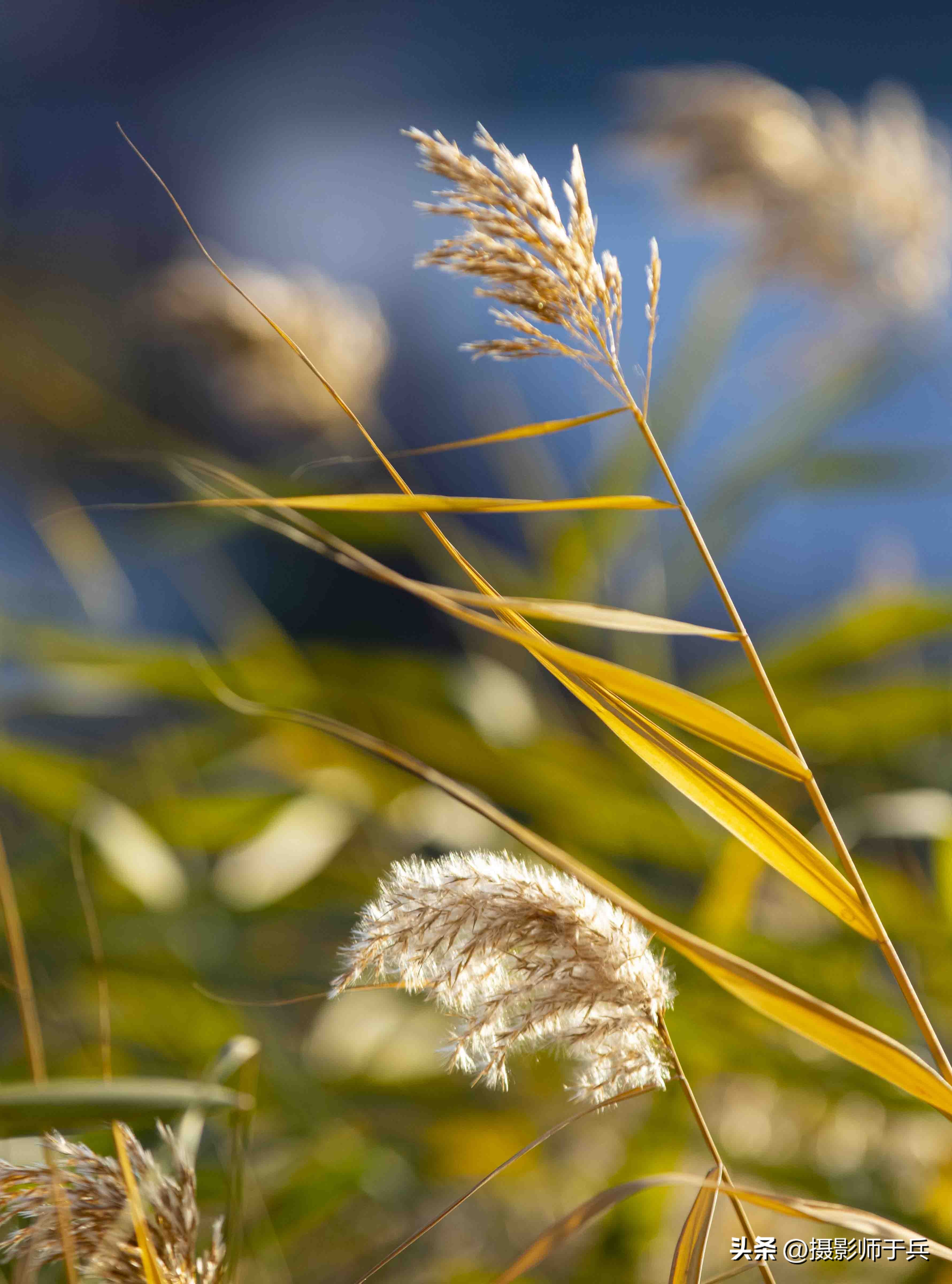 秋天唯美短句,最适合发朋友圈