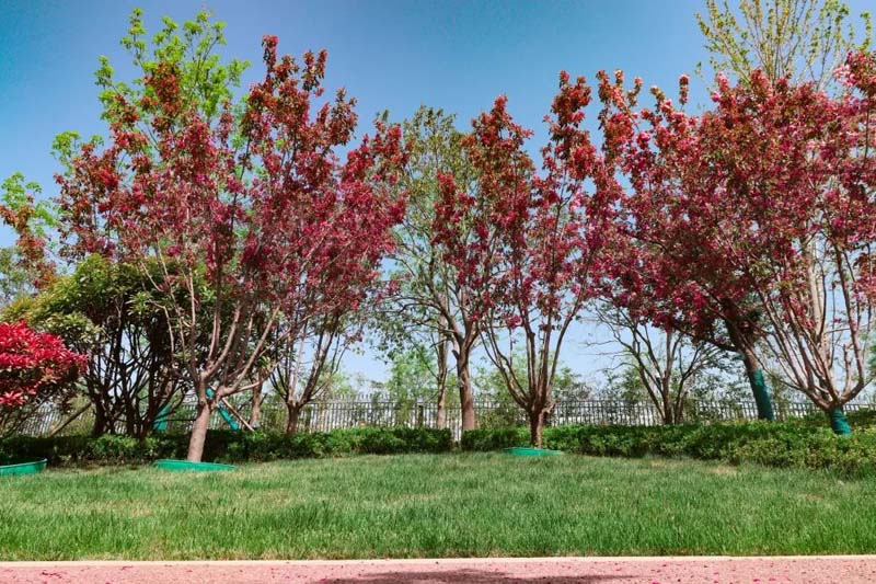 �������ķ����գ�̤���ͻ�����ʱ